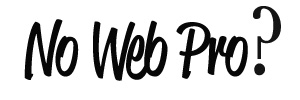 No web pro